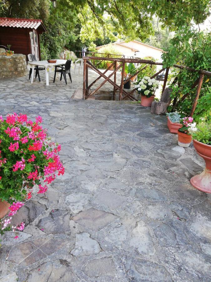 Villa Villino Rosi Monteverdi Marittimo Exterior foto